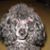 Julie Miller's profile image