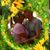 Cindy Underland's profile image