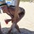 Madeline Pinault's profile image