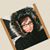 Amy Estrada's profile image