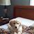 Lisa Kowaleski's profile image