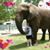 Nicole Recker-Ware's profile image