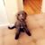Jessica Gambrell's profile image