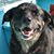 Stacy Carmichael Watson's profile image