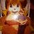 Ronnie Hovey's profile image