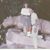 Mary Knapich Mock's profile image