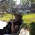Janie Woodard's profile image
