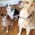 Carol McArdle's profile image
