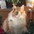 Wendy Cathey's profile image