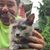 Steve Kness's profile image