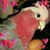 Deb Evans's profile image
