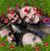 Linda Seely's profile image