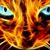 Kerrie Lucas's profile image
