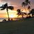 Vicki Schaeffer's profile image