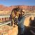 Bonnie Walker's profile image