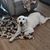 Tamie Marie Hill's profile image