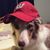 Cindy Lichtenwalner Epley's profile image