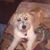 Joseph Melody's profile image