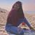 Jasmine Luszczak's profile image