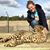 Rachel VanLaningham's profile image