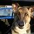 Judy Bodnar's profile image