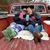 Kimberly Wiegert Schremp's profile image