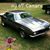 Lori Everett-Peek's profile image