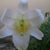 Ernestina Ramirez's profile image