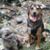Connie Davis's profile image