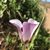 Mary Ann Miles's profile image