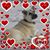 Andrea Ruef's profile image