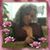 Kathleen Geyer's profile image