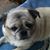Cindy Claspell-Schwalm's profile image