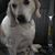 Jason Alan Evert's profile image