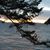 Maggie Frasieur's profile image