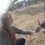 Melissa Gammill's profile image