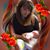 Sandra Attaguile's profile image