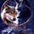 Donna Darlene Day's profile image
