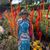 Pam Bambeck's profile image