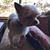 Sabba David's profile image