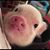 Scott Powell's profile image