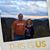 Tammy Stoddard's profile image
