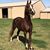 Tiffini Shaw Wagner's profile image