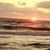 Patti Vancauwenberghs's profile image