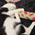 Jacob Wayne Standland's profile image