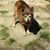 Robert Govoni's profile image
