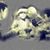 Eiffel Ditimus's profile image