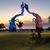 Kim Marie Grant's profile image