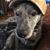 Nancy Nuzum's profile image