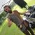 Benjamin Jay Zerbe's profile image